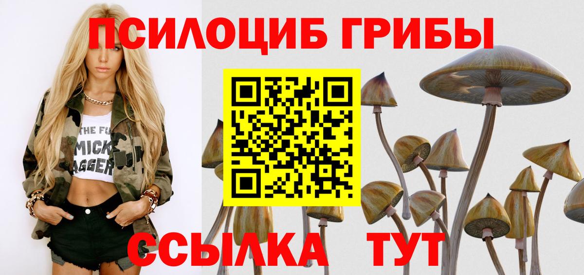 Галлюциногенные грибы прущие грибы Тихвин