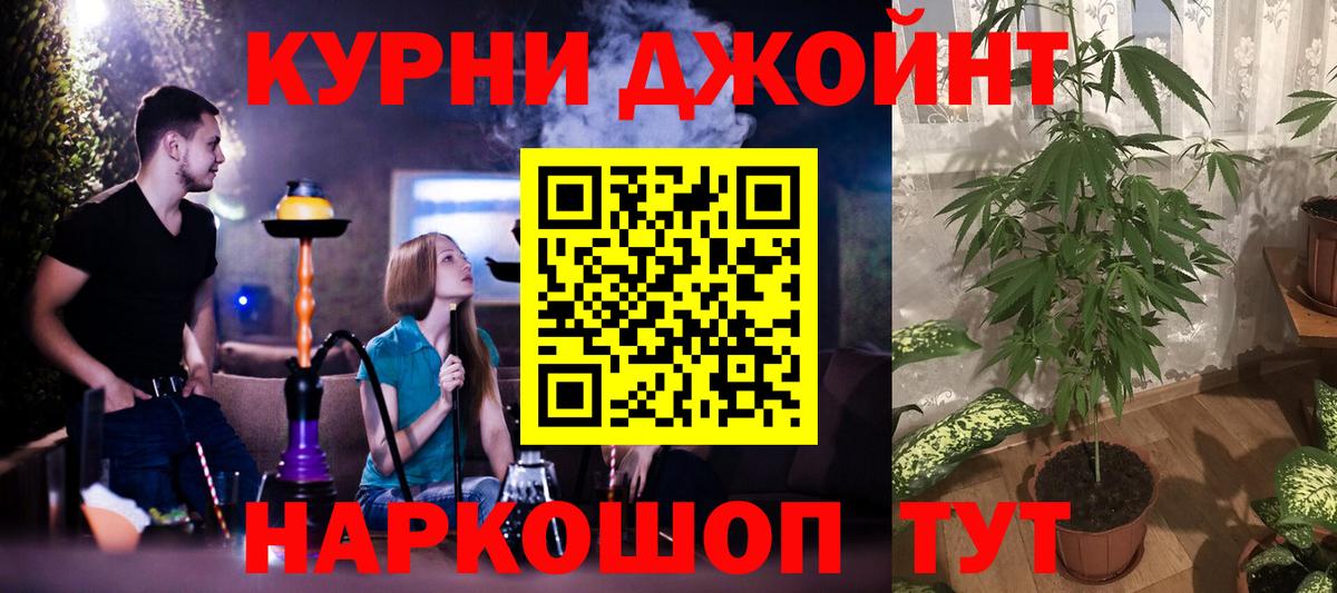 Каннабис OG Kush Тихвин